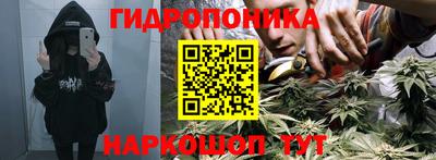 ПСИЛОЦИБИНОВЫЕ ГРИБЫ Гай
