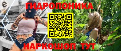 стаф Гатчина