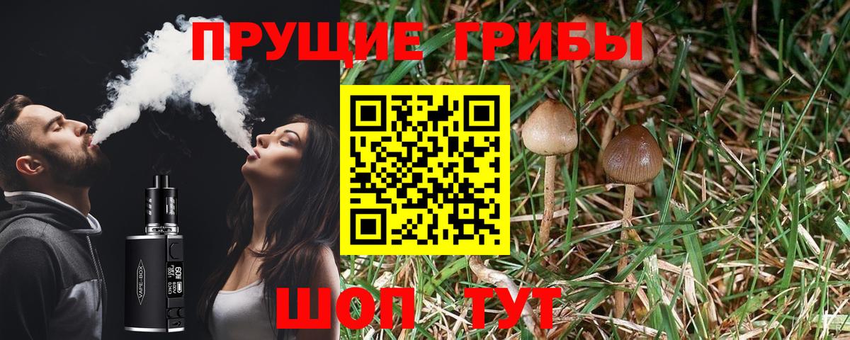 Псилоцибиновые грибы MAGIC MUSHROOMS  Псилоцибиновые грибы ЛСД  Надым  Вход с VPN 